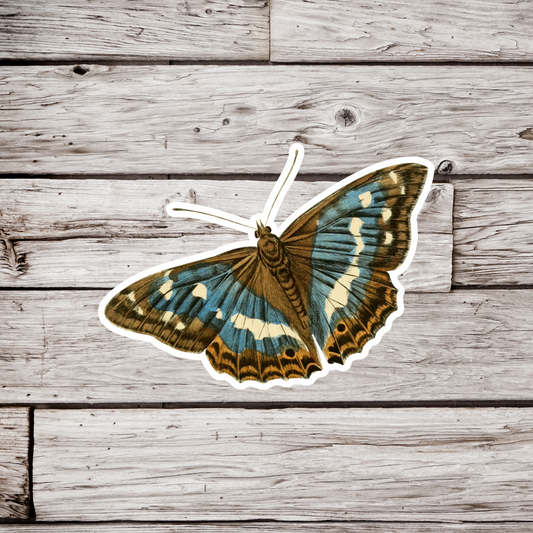 Butterfly Sticker