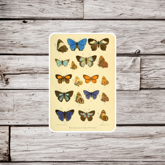 Butterfly Sticker