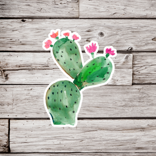 Cactus Sticker