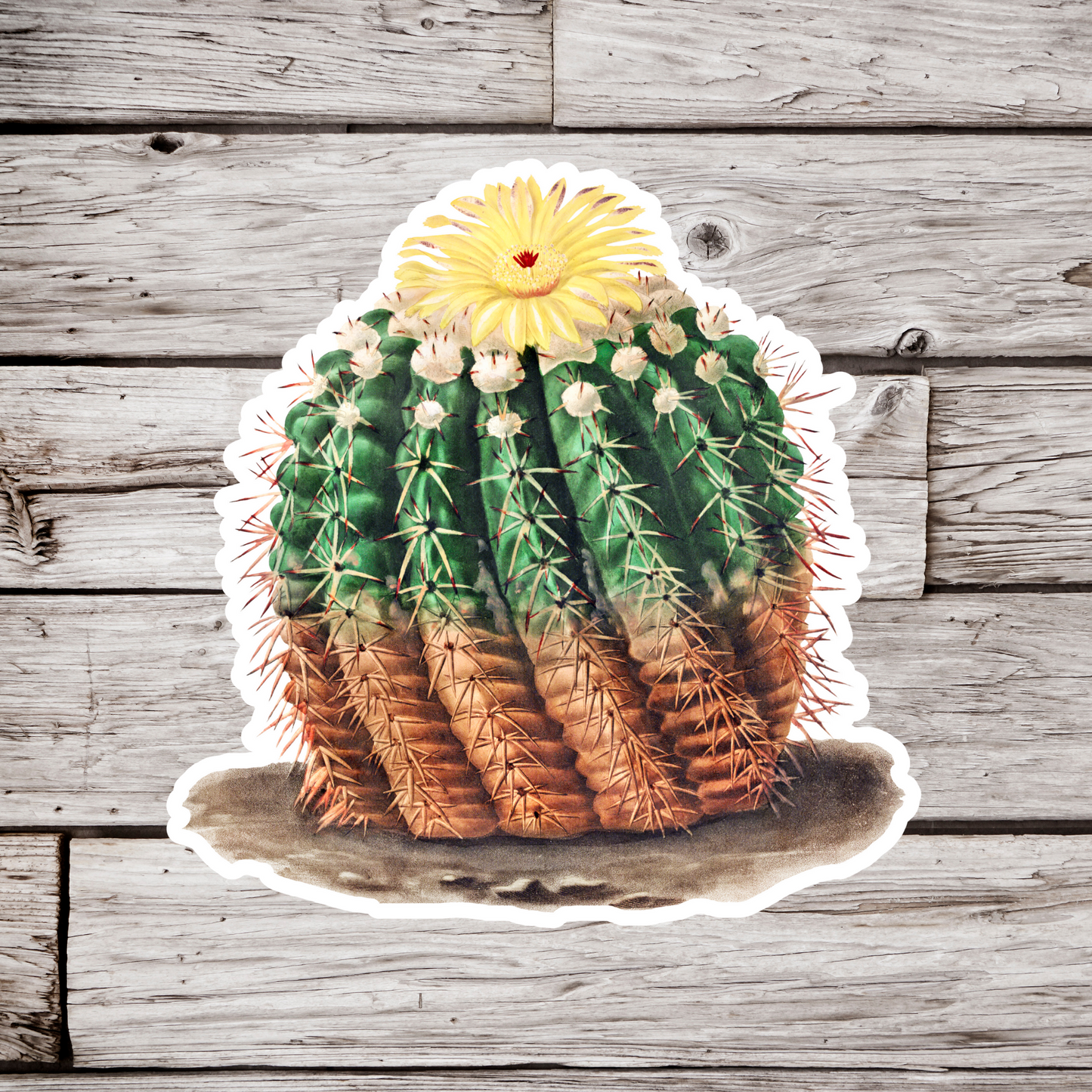 Cactus Sticker