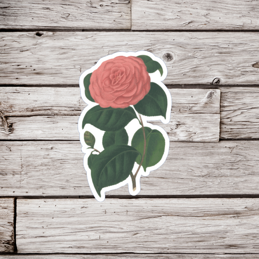 Camilla Flower Sticker or Magnet