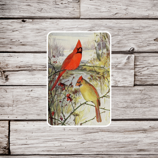 Cardinal Sticker