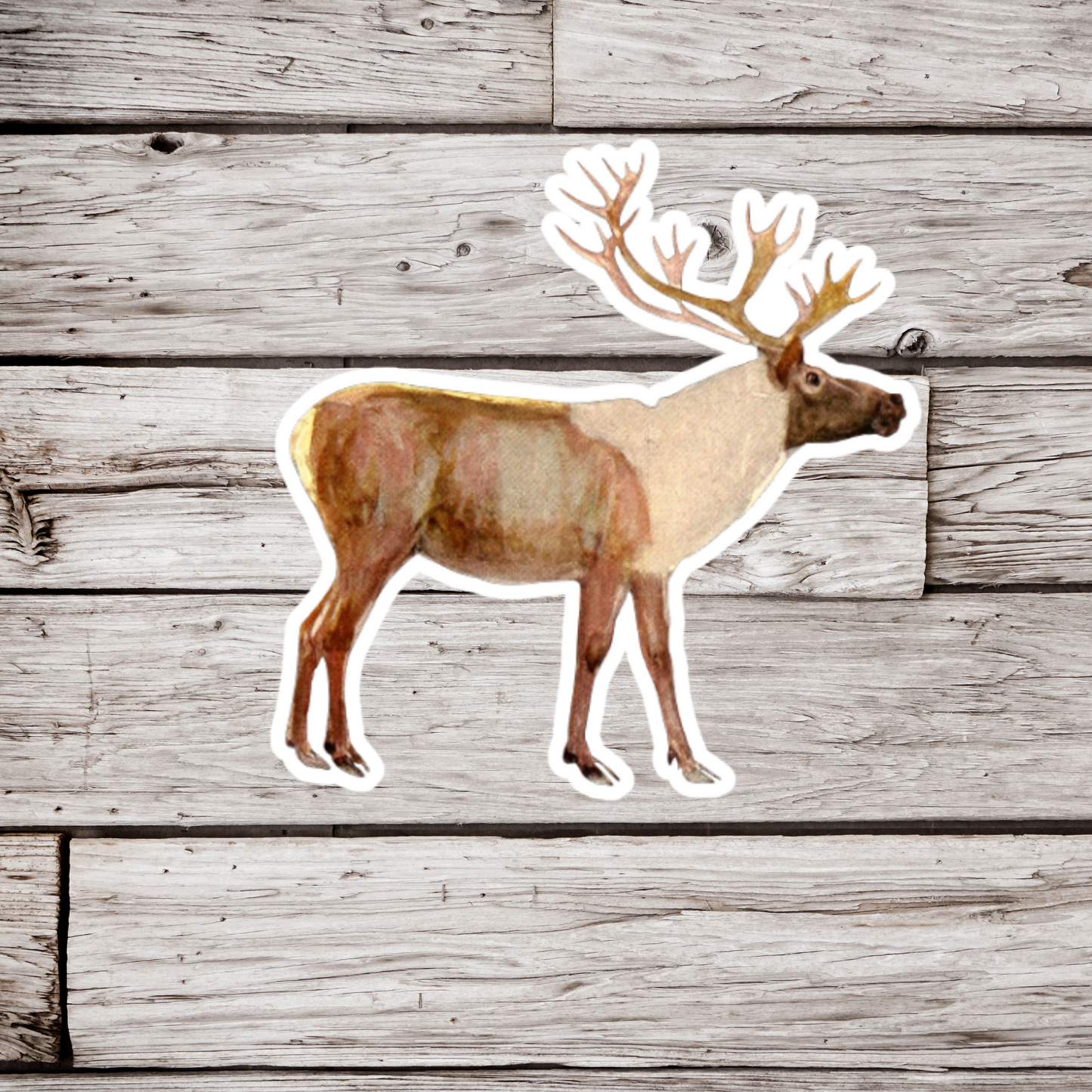 Caribou Sticker