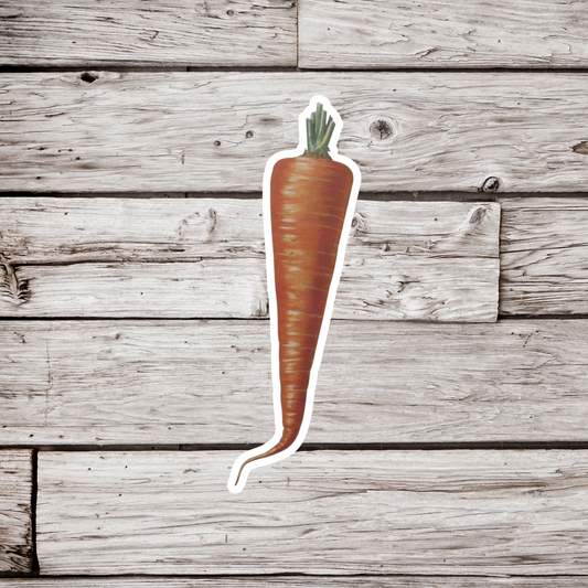 Carrot Sticker