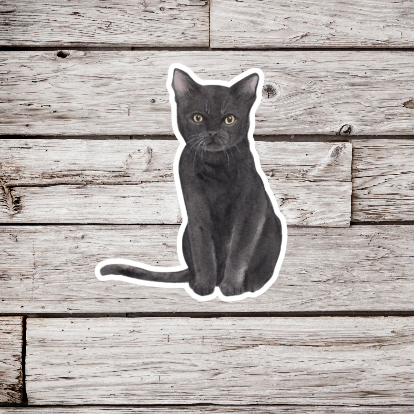 Black Cat Sticker