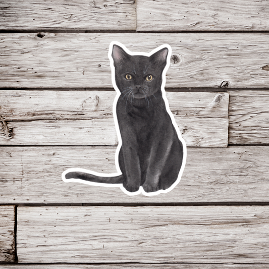 Black Cat Sticker or Magnet