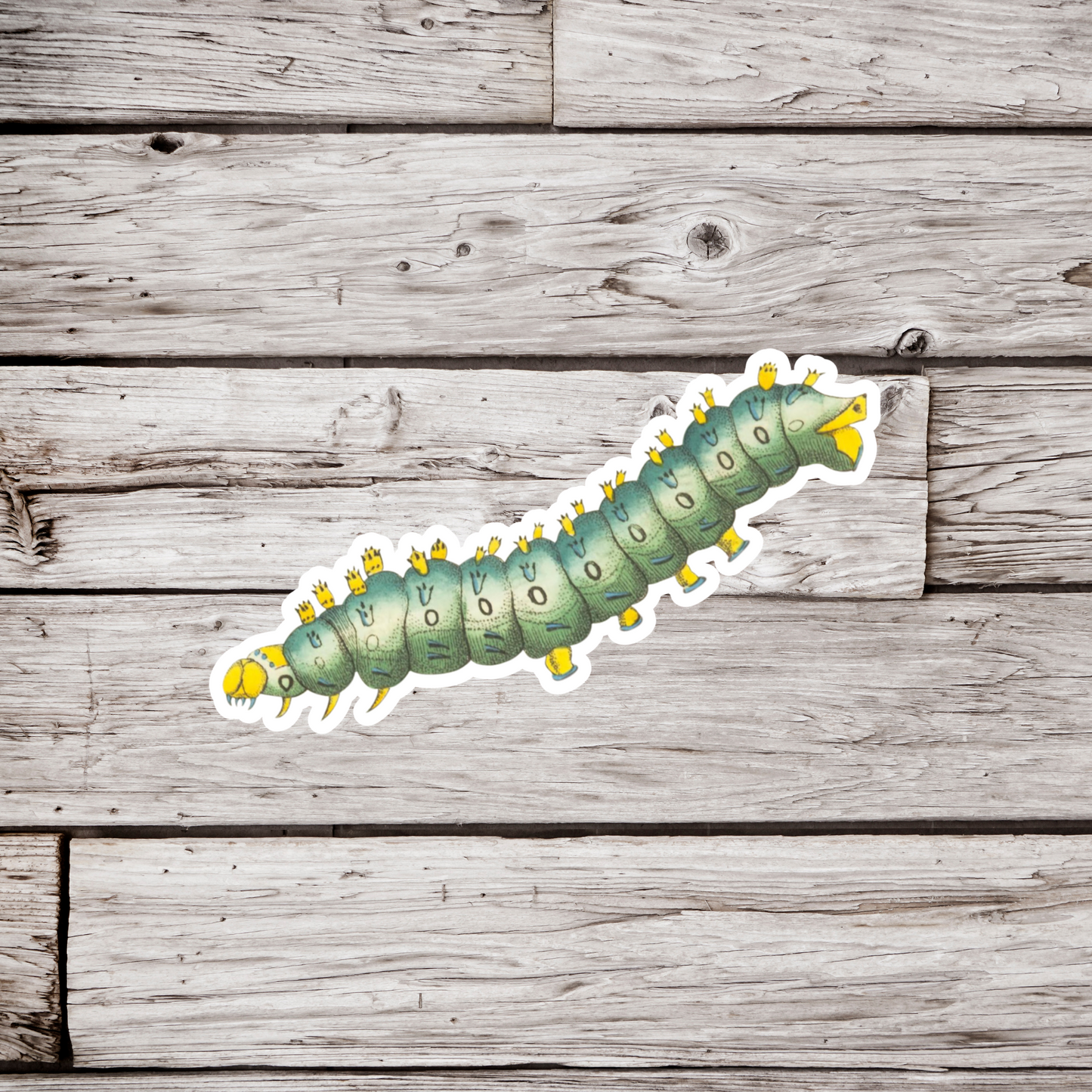 Caterpillar Sticker