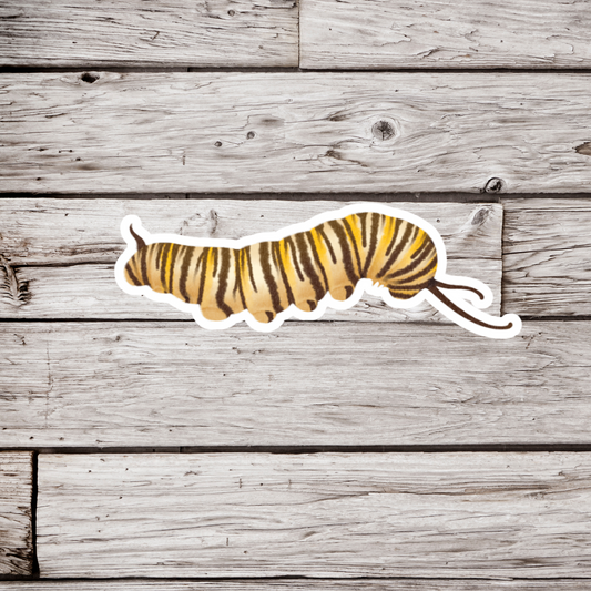 Monarch Caterpillar Sticker