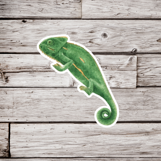 Chameleon Sticker