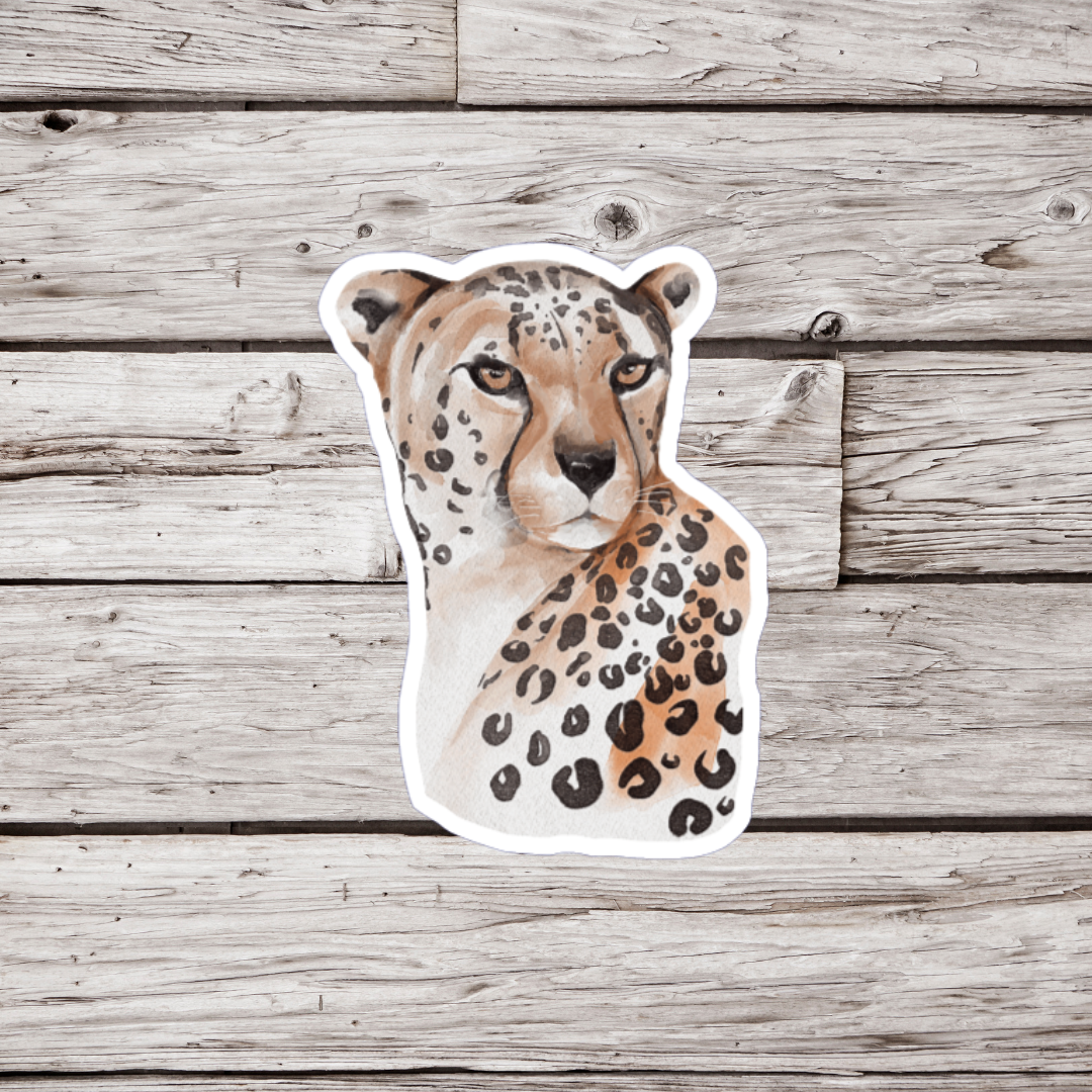 Cheetah Sticker