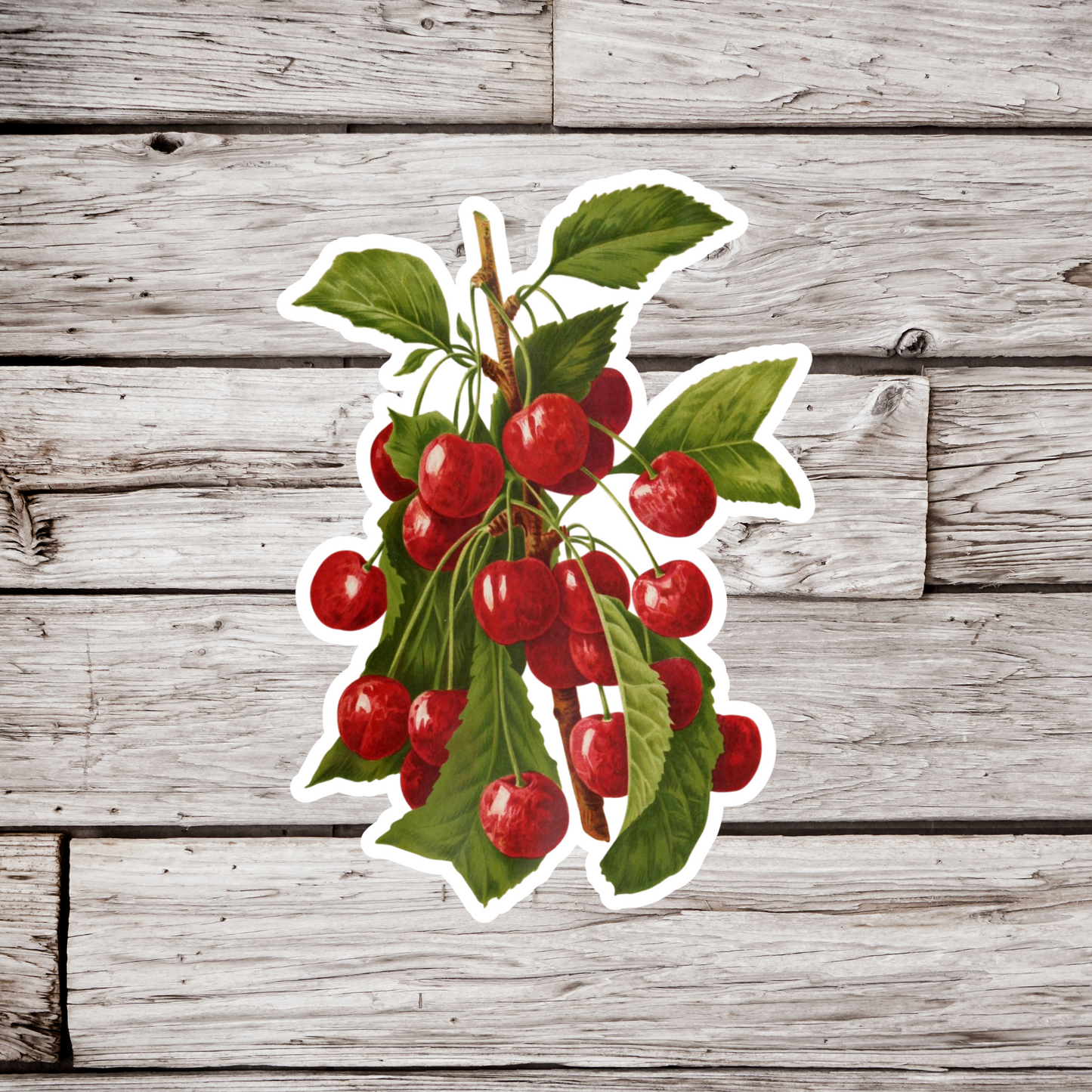 Cherry Sticker