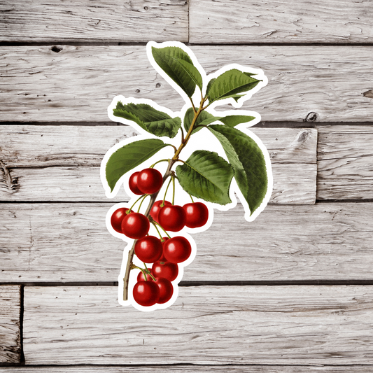 Cherry Sticker