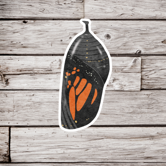 Monarch Chrysalis Sticker