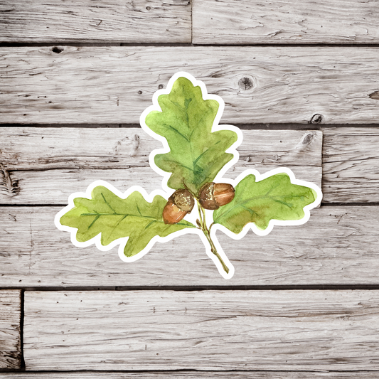 Oak Leaf Sticker
