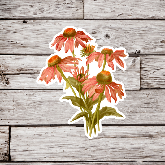 Coneflower Sticker