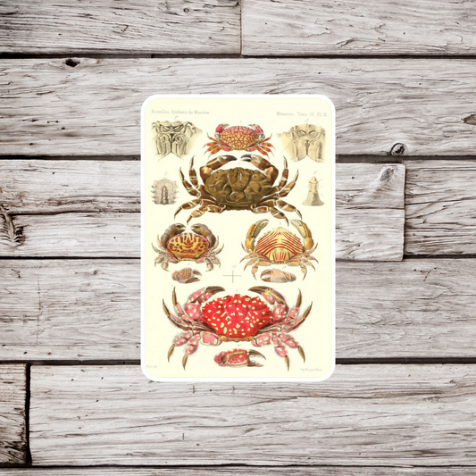 Crab Sticker