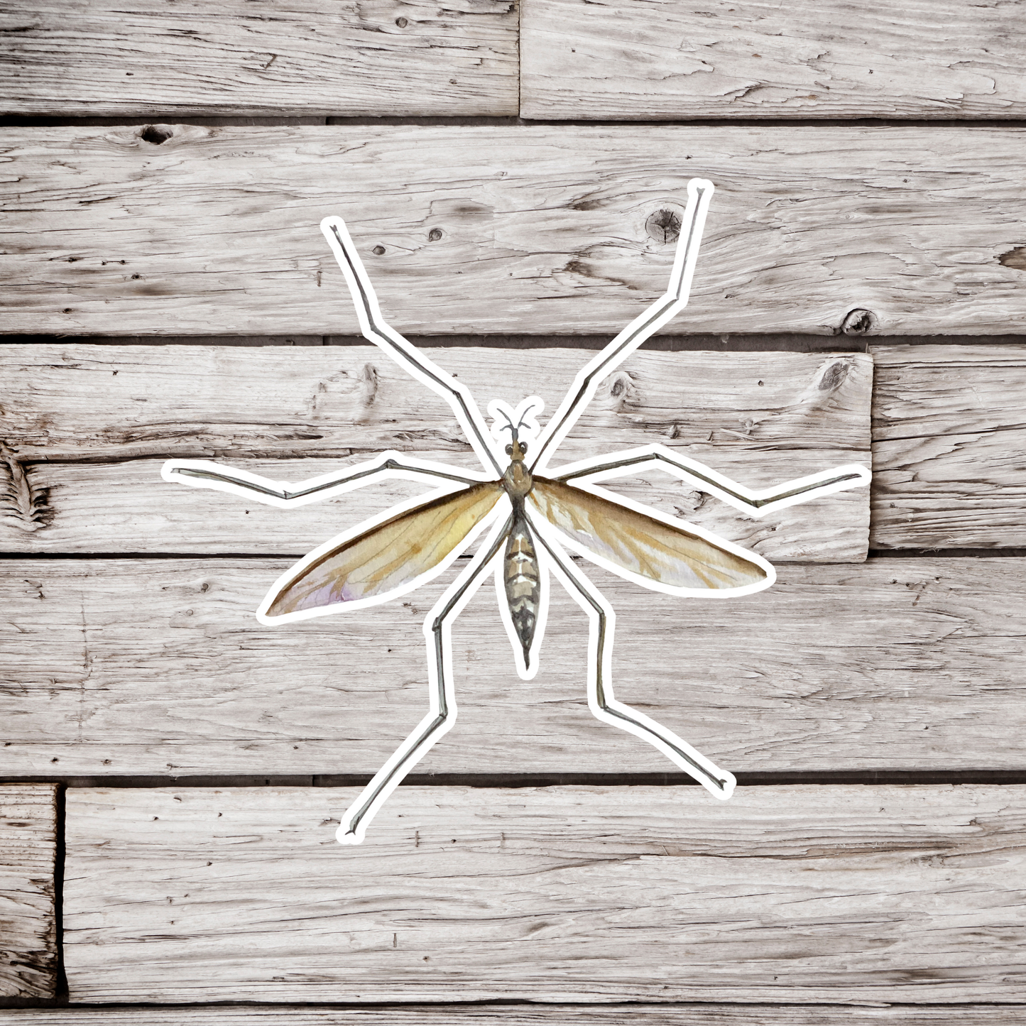 Crane Fly Sticker