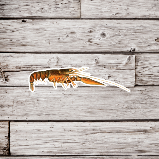 Crayfish Sticker