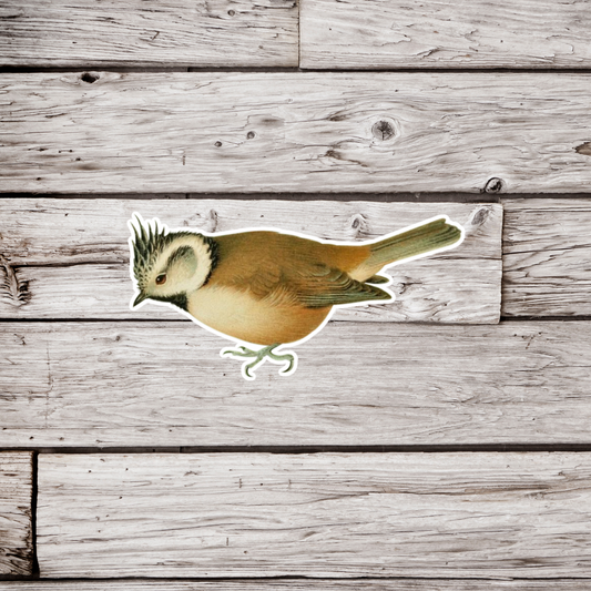 Crested Tit Sticker