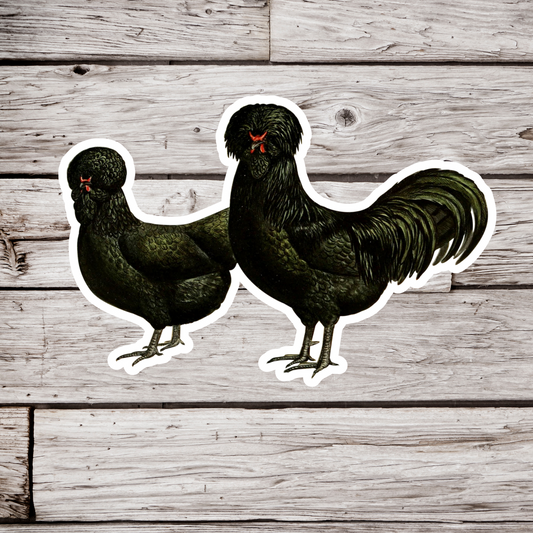 Crevecoeurs Chicken Sticker