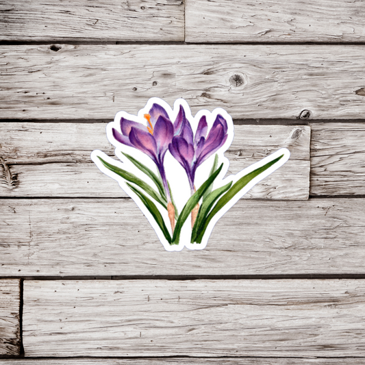 Crocus Flower Sticker