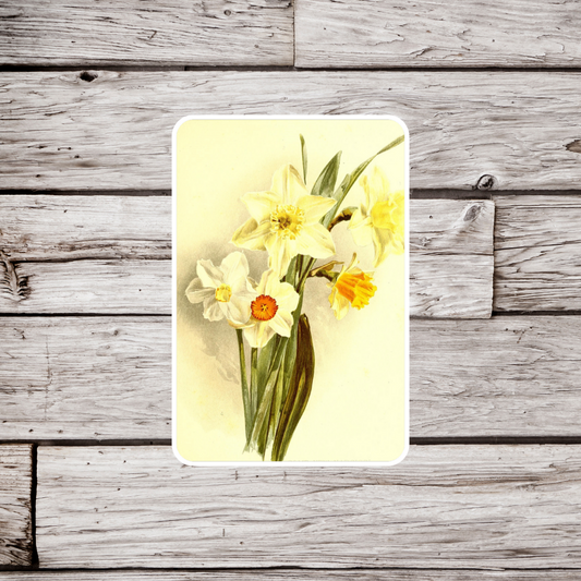 Daffodil Flower Sticker