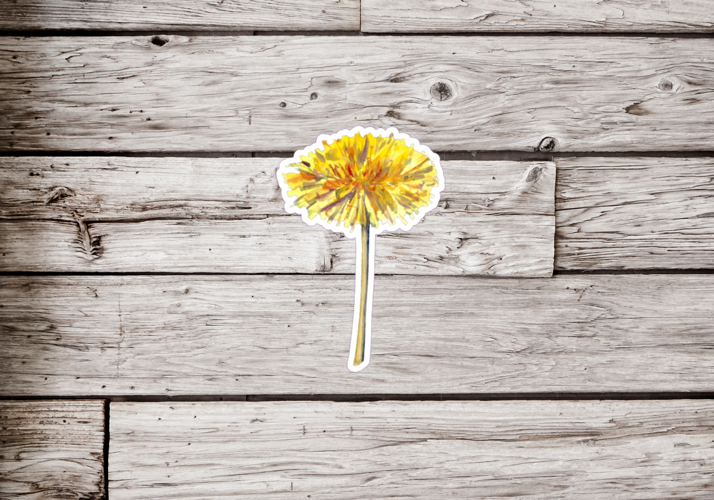 Dandelion Sticker