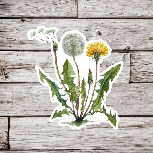 Dandelion Sticker