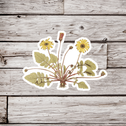 Dandelion Sticker