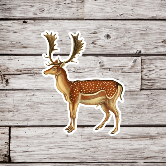 Deer Sticker