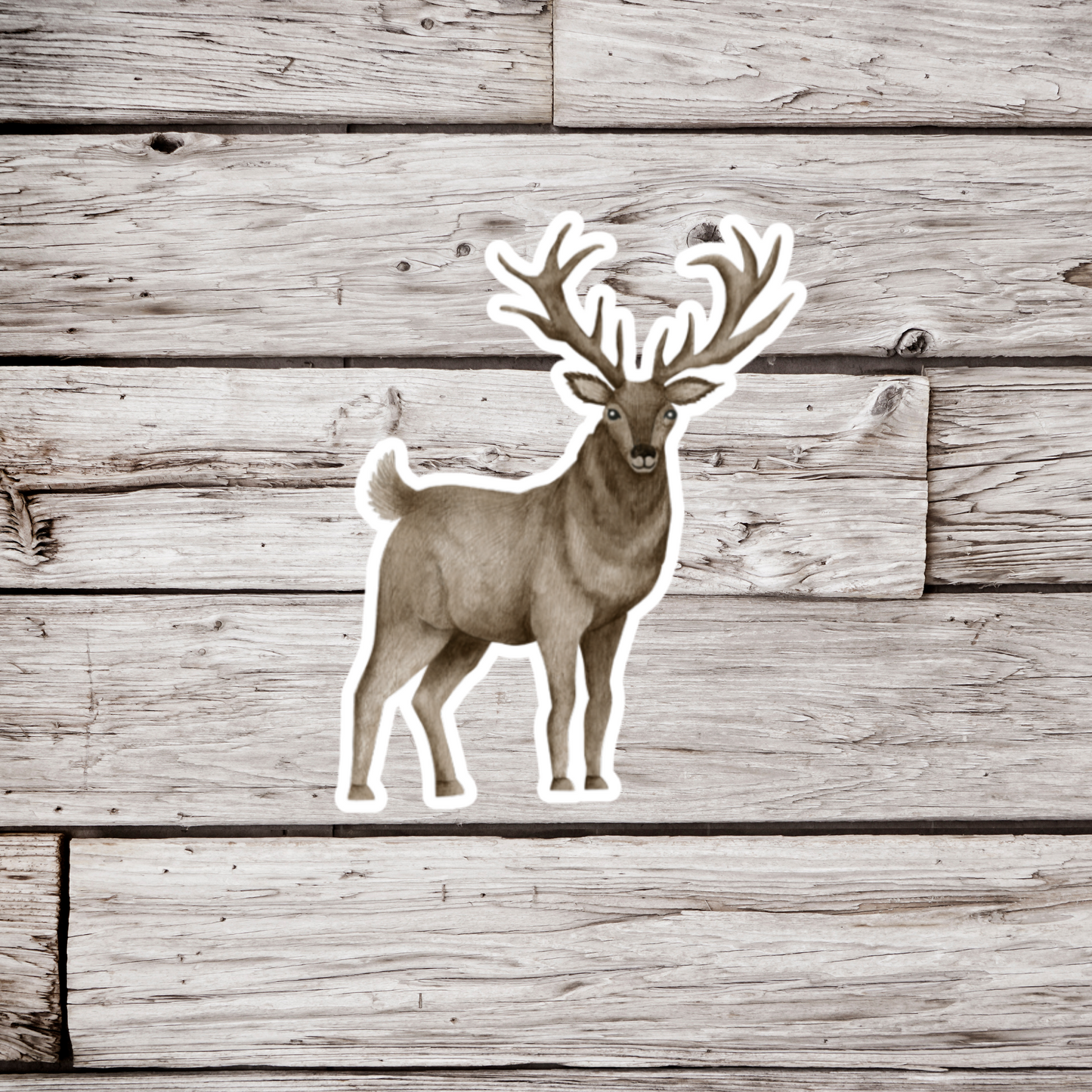 Deer Sticker