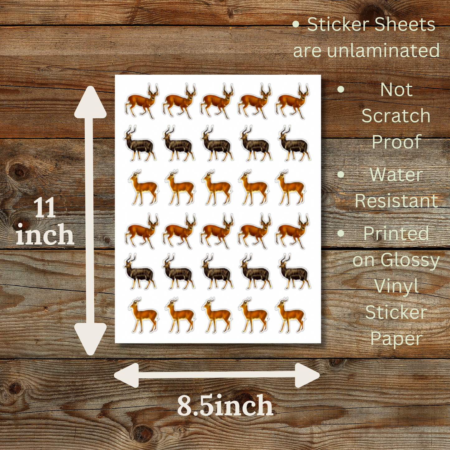 Antelope Sticker Sheet