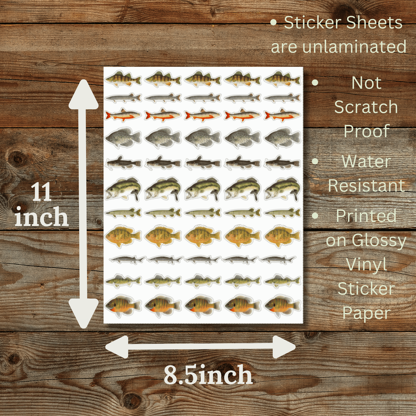 Lake Fish Sticker Sheet