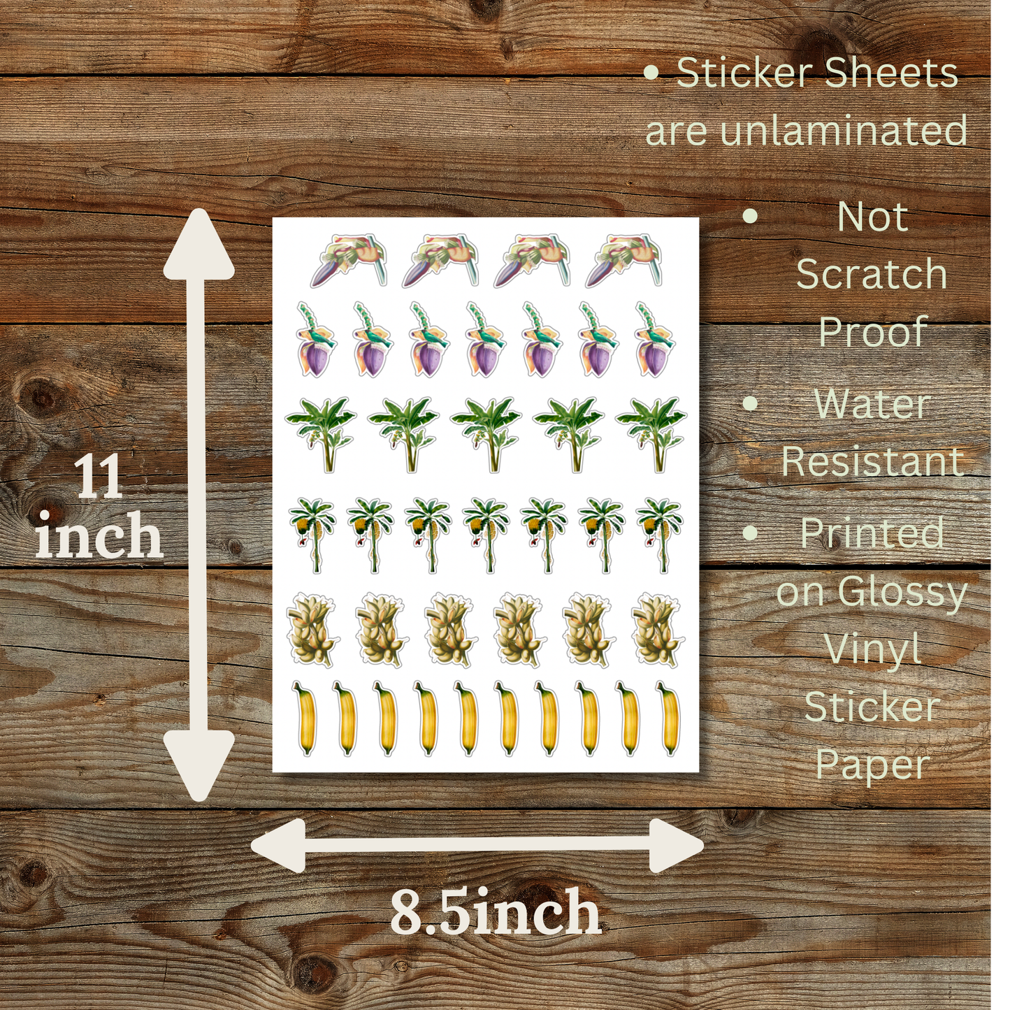Banana Sticker Sheet