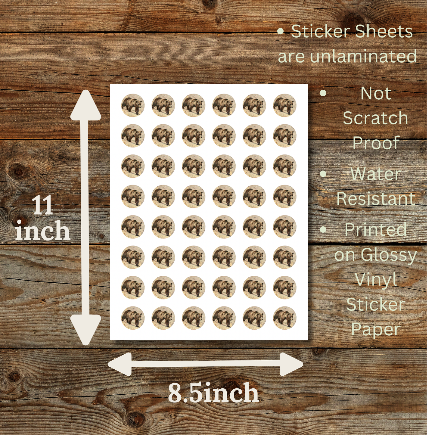 Bear Circle Sticker Sheet