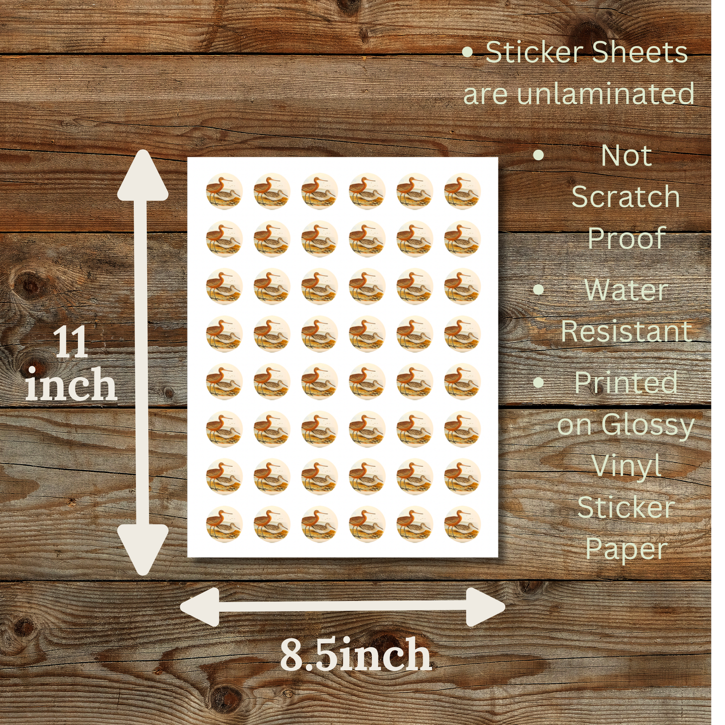 Bar Tailed Godwit Circle Sticker Sheet
