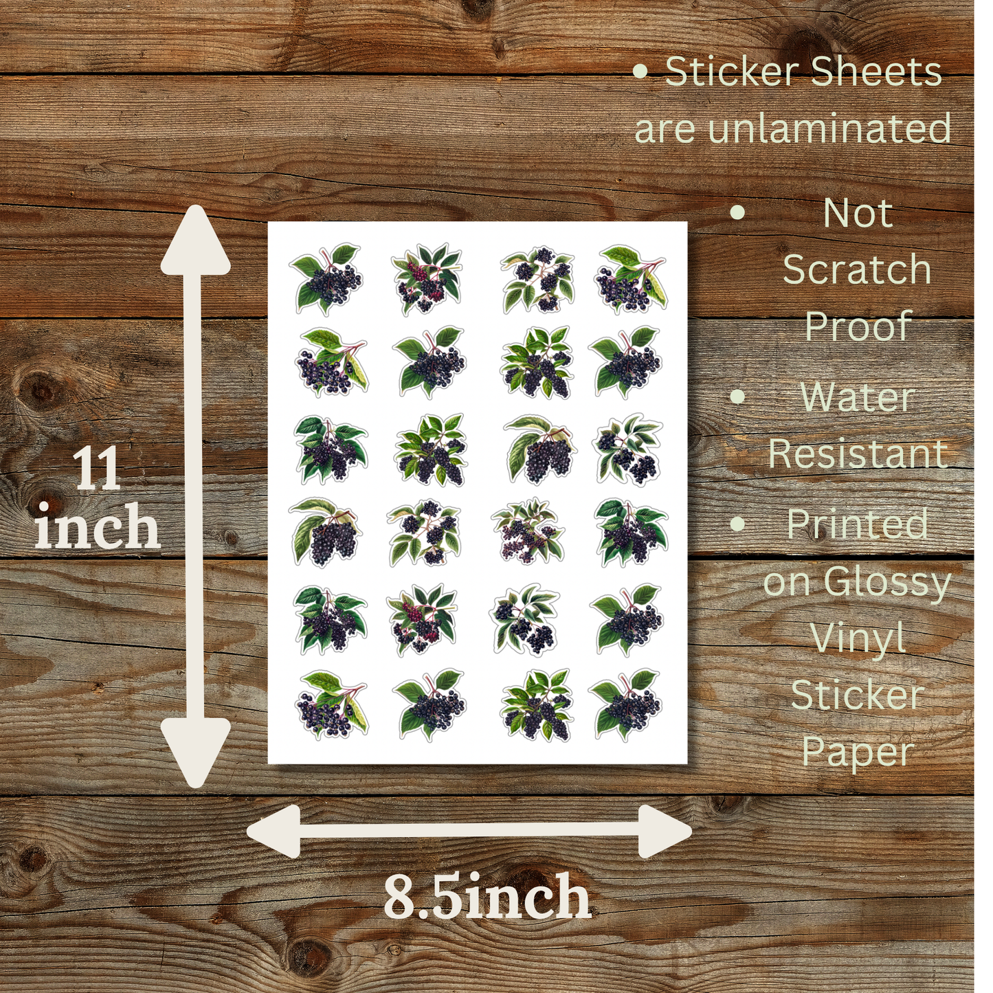 Elderberry Sticker Sheet