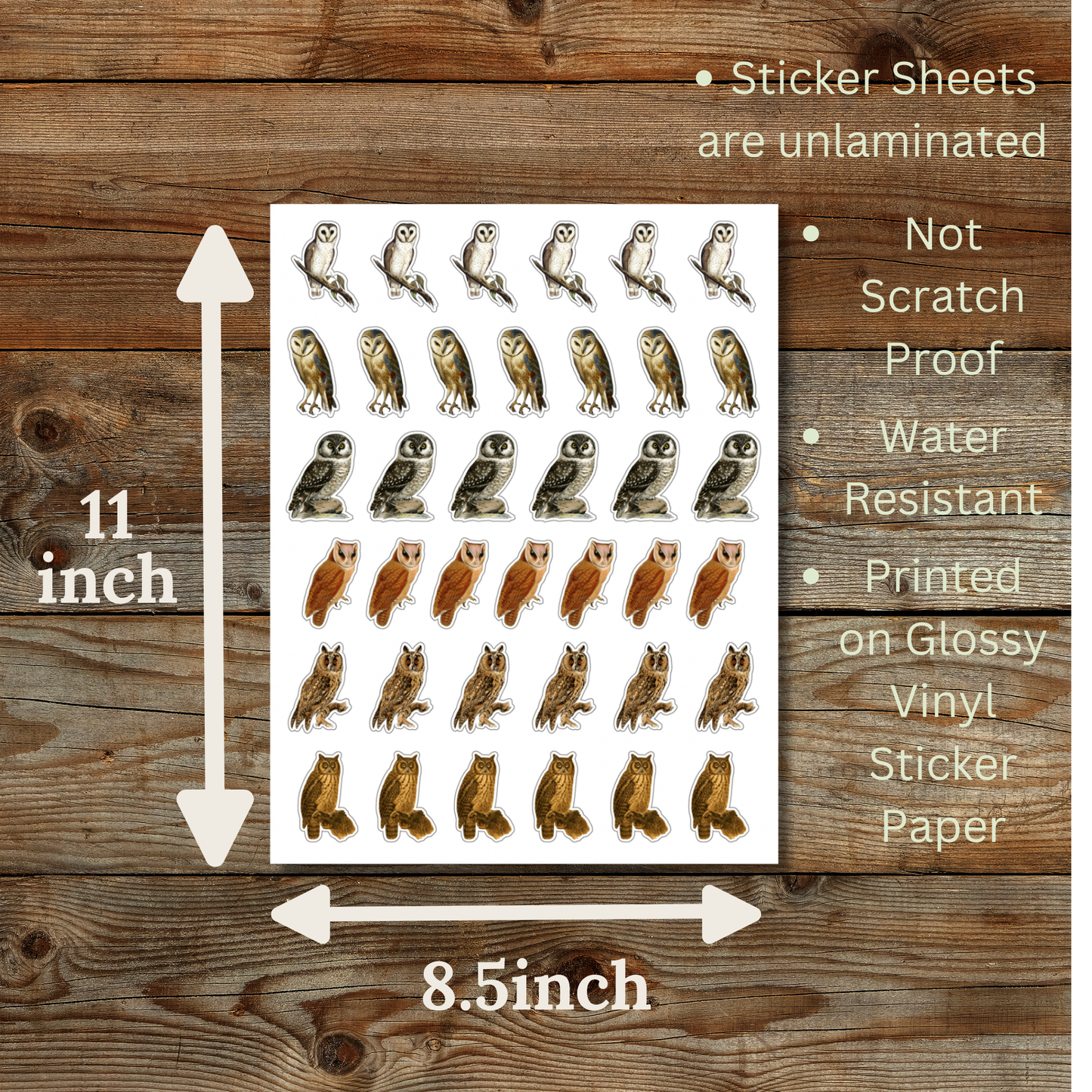 Owl Sticker Sheet