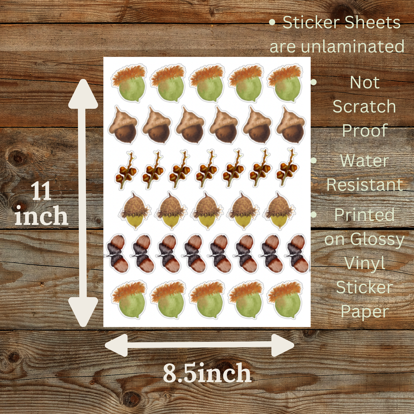 Acorn Sticker Sheet