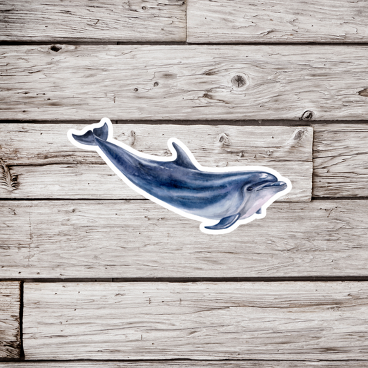 Dolphin Sticker