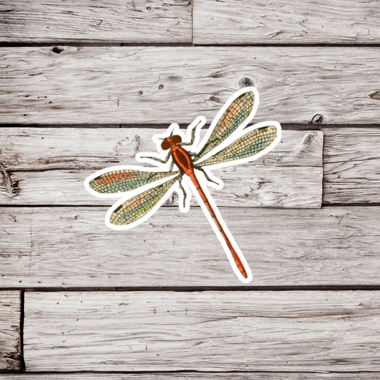 Dragonfly Sticker