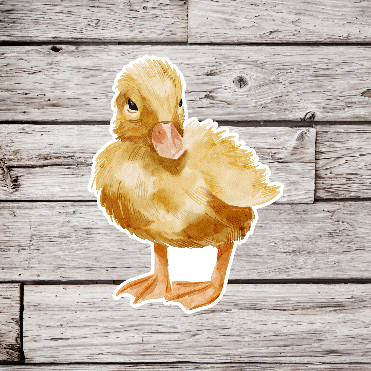 Duckling Sticker