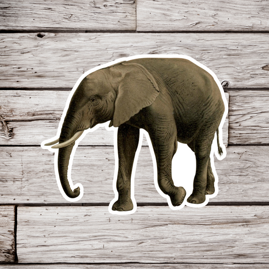 Elephant Sticker