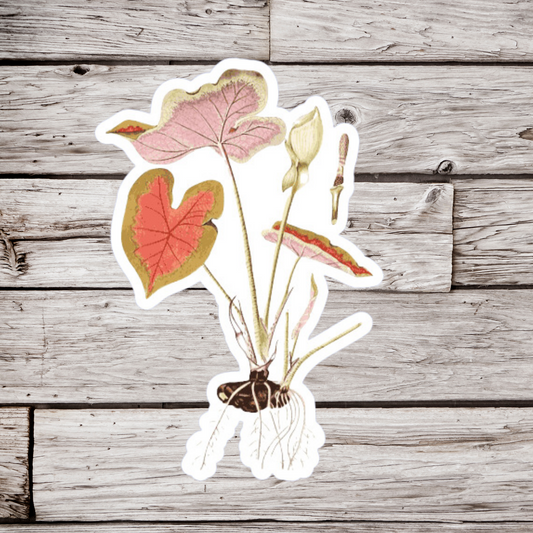 Elephant Ear Plant Vintage Flower Sticker