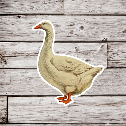 Emden Geese Sticker