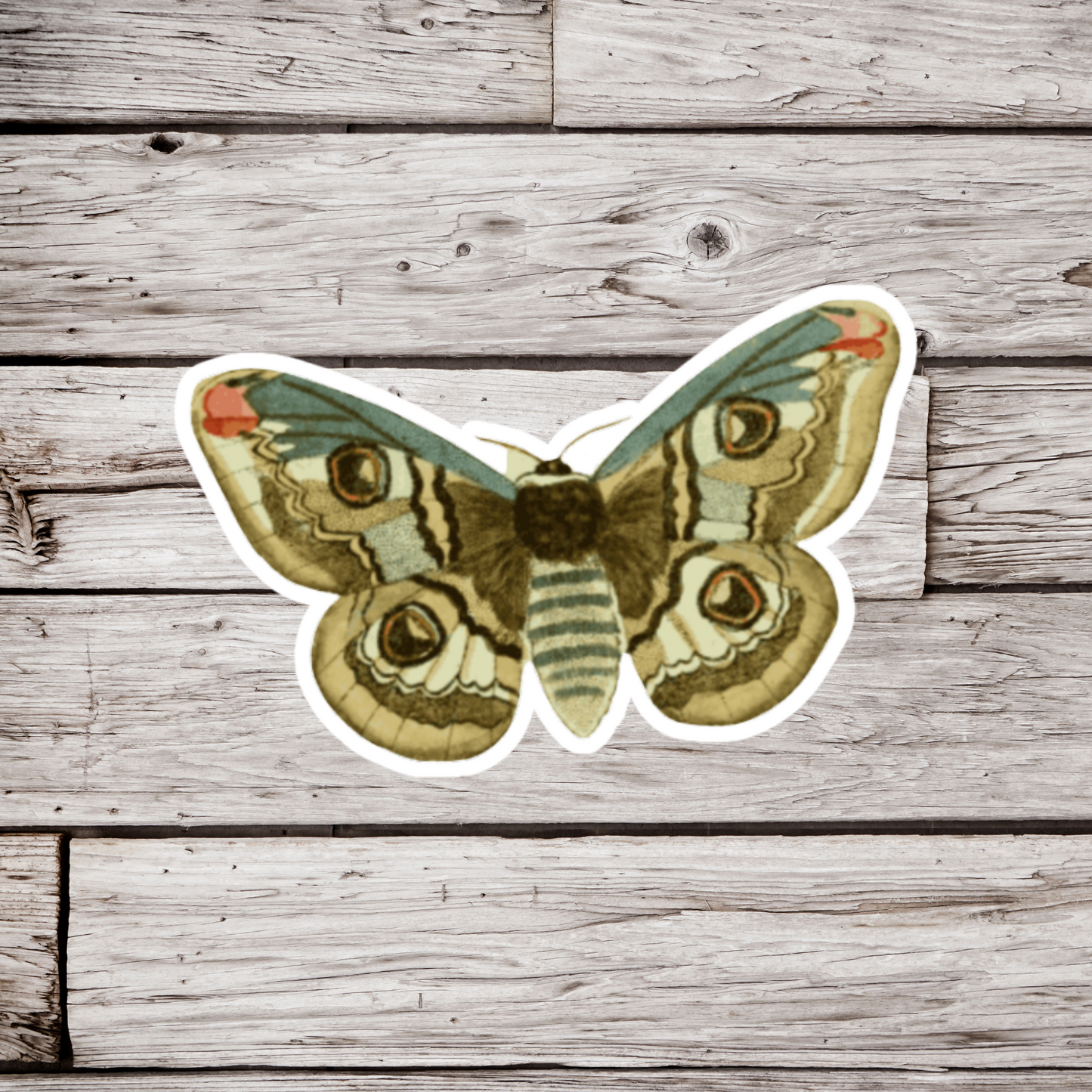 Emperor Moth Sticker