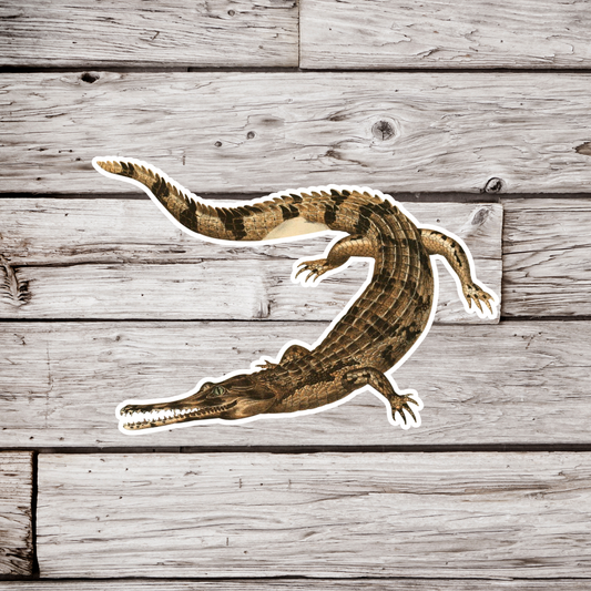 False Gharial Crocodile Sticker