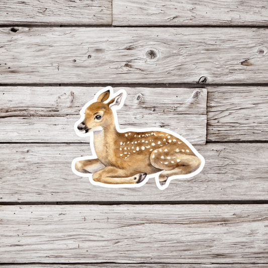 Fawn Sticker