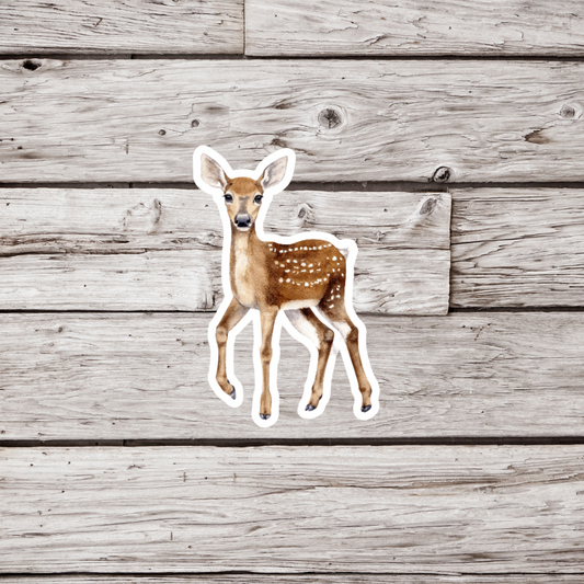 Fawn Sticker