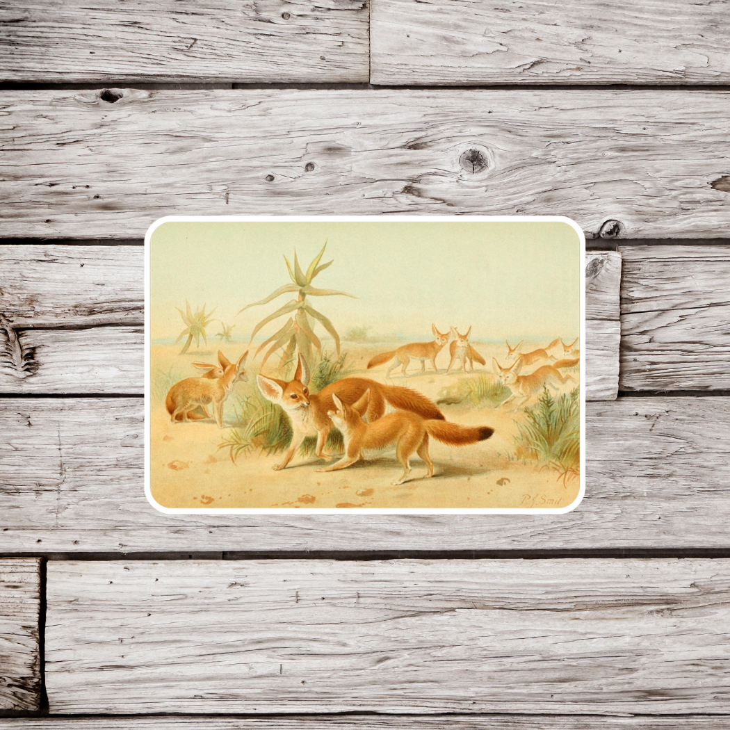 Fennec Fox Sticker